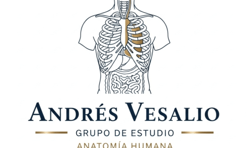 miniatura del curso